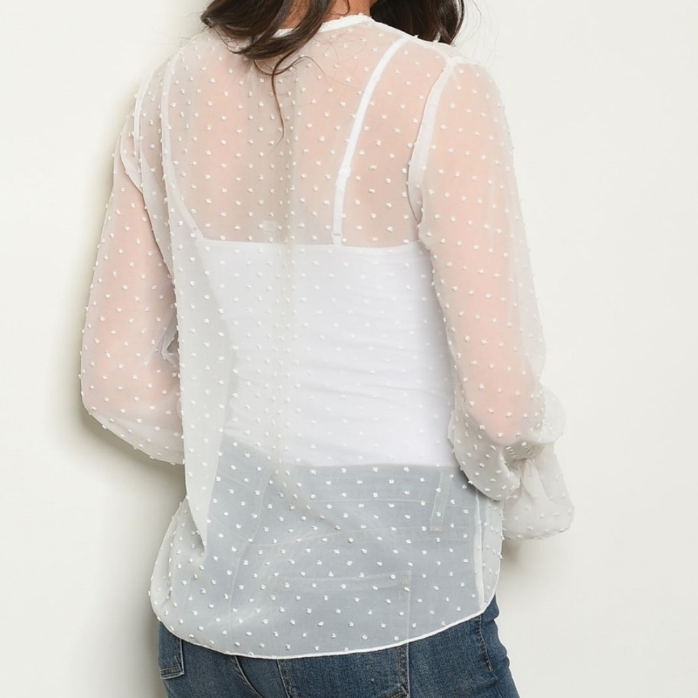 Bluemint Sheer ivory swiss dot tie closure top - Picture 2 of 7